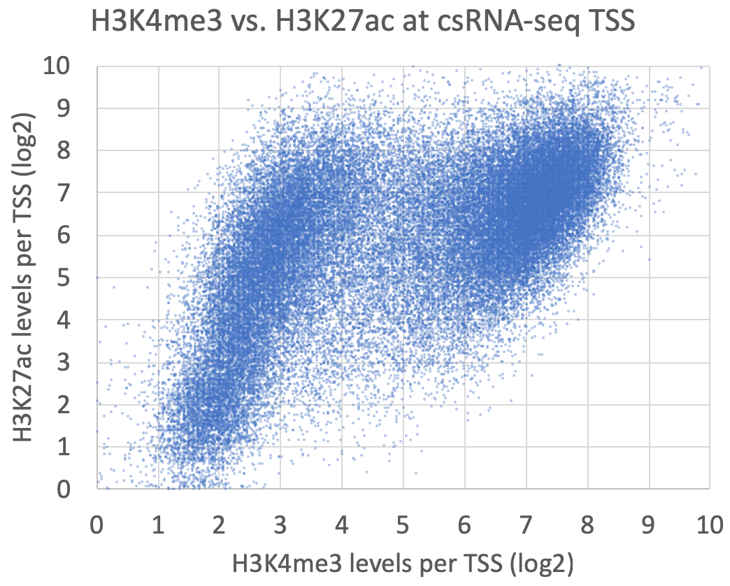 H3K4me3 vs. H3K27ac at
csRNA-seq TSS
