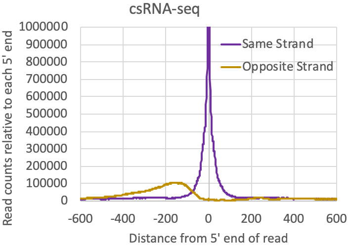 tag
autocorrelation csRNA-seq