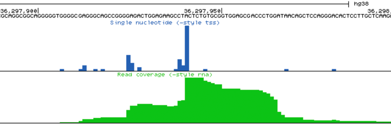 Example of csRNA-seq
in genome browser