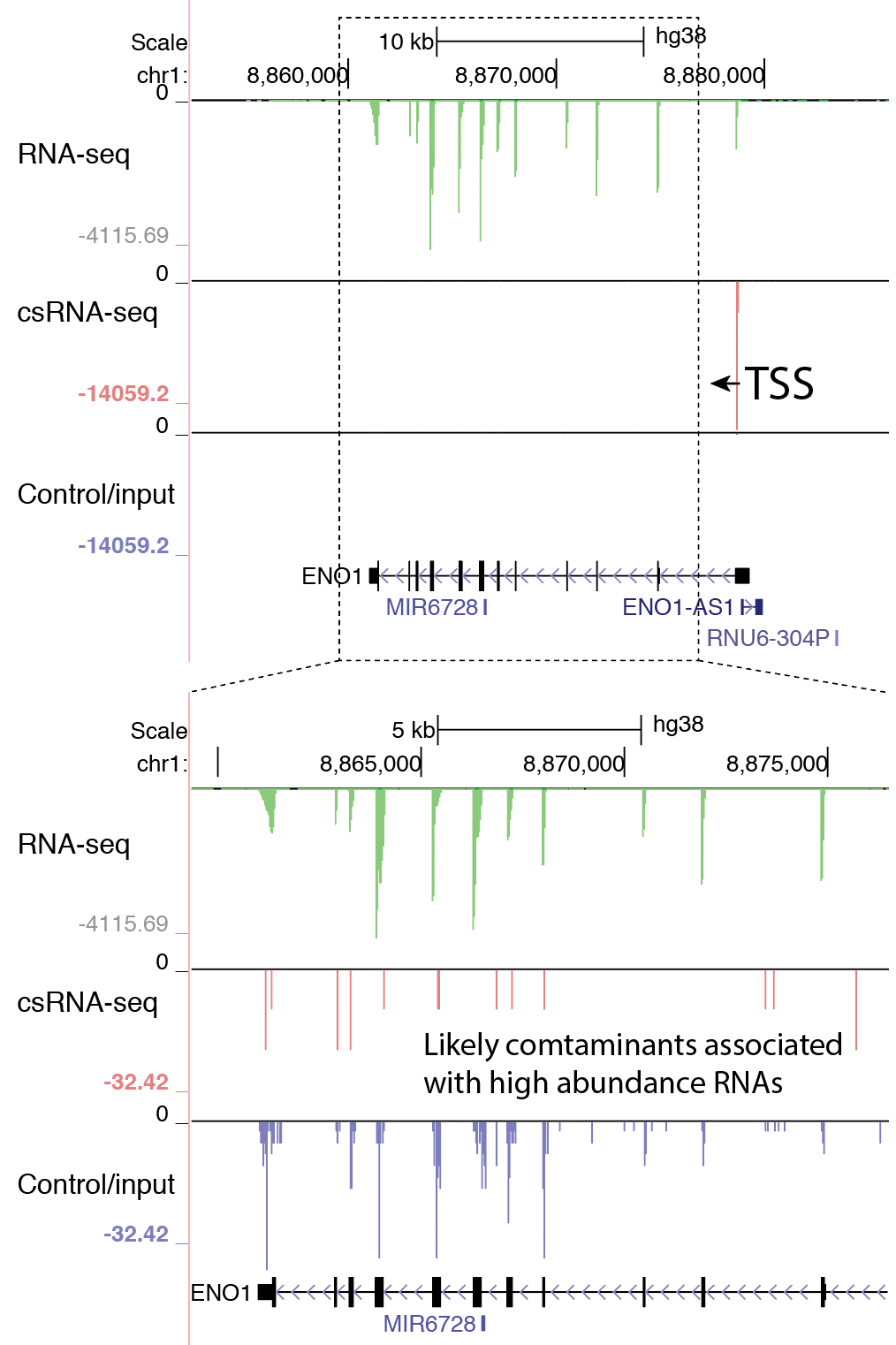 contamination browser csRNA-seq