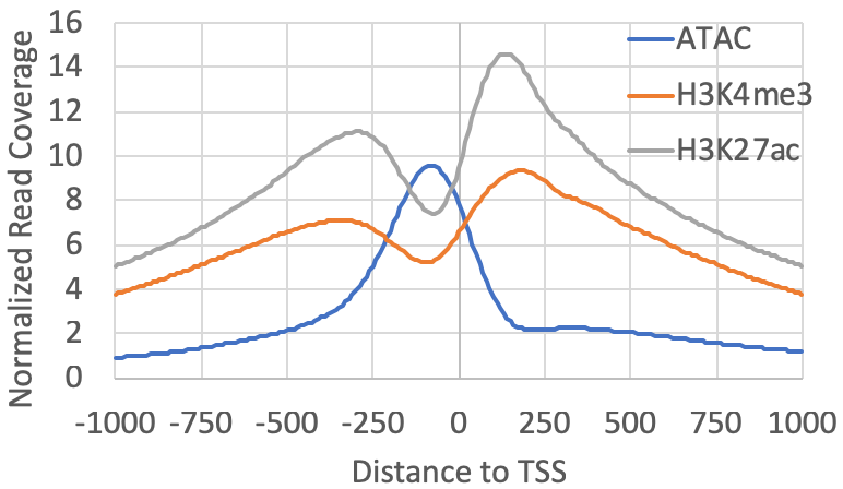 histone
modifications h3k27ac h3k4me3 atac csRNA-seq
