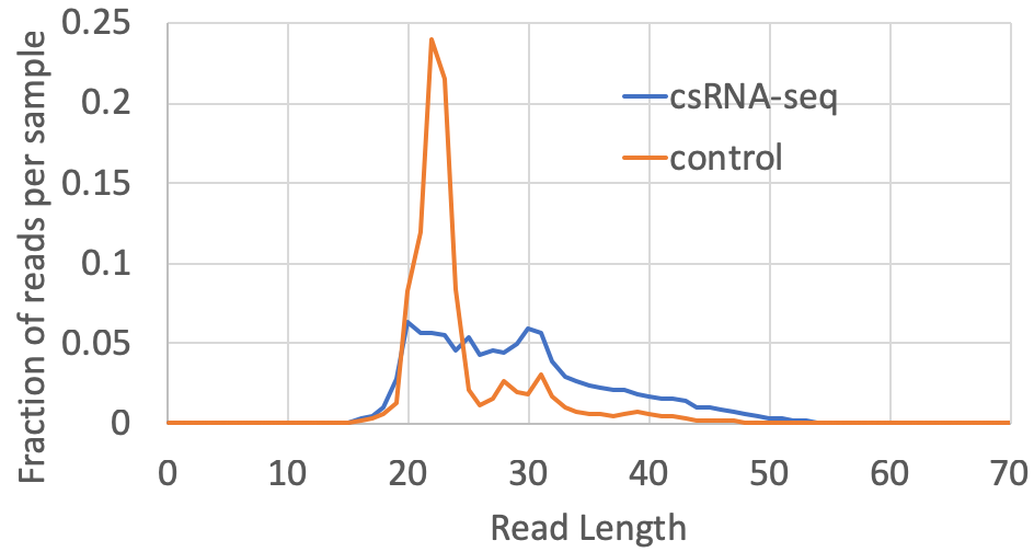 csRNA-seq read
lengths