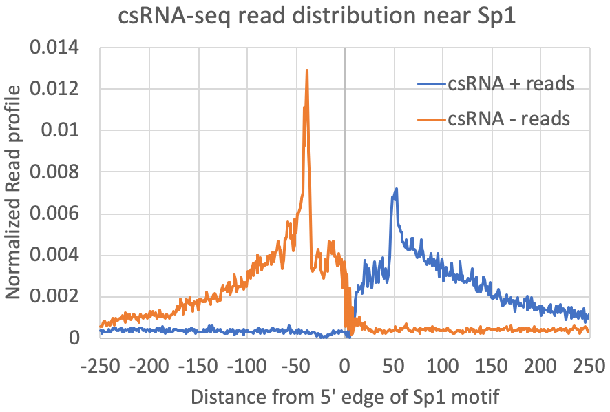csRNA-seq reads relative
to Sp1 motifs