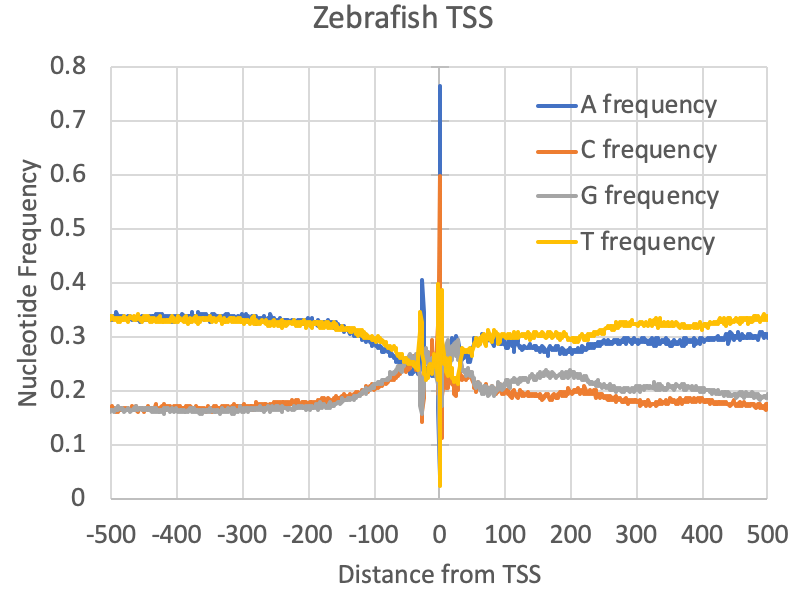 zebrafish nucleotide
frequencies near TSS csRNA-seq